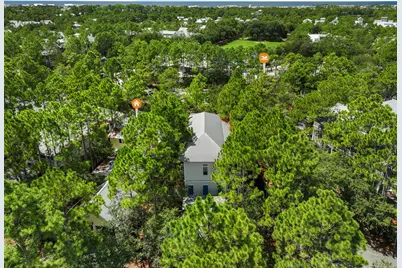 214 Spartina Circle, Santa Rosa Beach, FL 32459 - Photo 43