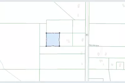 00 Hwy 81 S, Ponce de Leon, FL 32455 - Photo 9