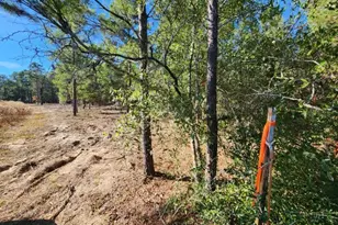 1 2 Acres On Kelly St, Defuniak Springs, FL 32433 - Photo 5