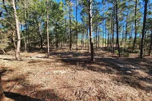 1 2 Acres On Kelly St, Defuniak Springs, FL 32433 - Photo 9
