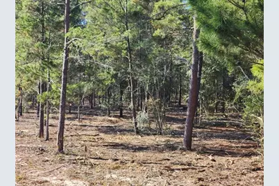 1.2 Acres On Kelly Street, Defuniak Springs, FL 32433 - Photo 7