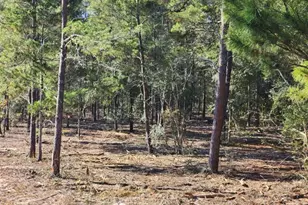 1 2 Acres On Kelly St, Defuniak Springs, FL 32433 - Photo 7