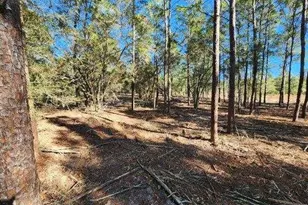 1 2 Acres On Kelly St, Defuniak Springs, FL 32433 - Photo 3