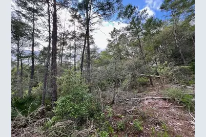 Lot 5 W Okeechobee W, Santa Rosa Beach, FL 32459 - Photo 9