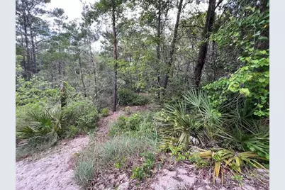 Lot 5 W Okeechobee W, Santa Rosa Beach, FL 32459 - Photo 7