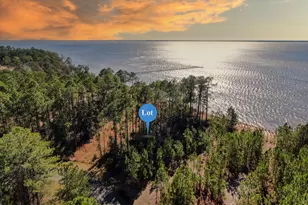 Lot 45 S Sunset Harbour S, Freeport, FL 32439 - Photo 1