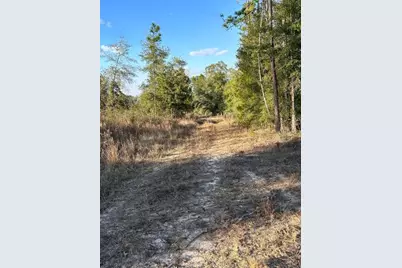 00 James Luther Rd, Ponce de Leon, FL 32455 - Photo 3