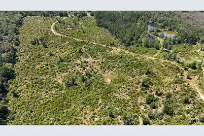 00 James Luther Rd, Ponce de Leon, FL 32455 - Photo 7