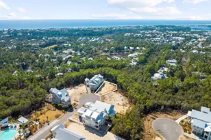 72 String Lily Cv, Santa Rosa Beach, FL 32459 - Photo 1