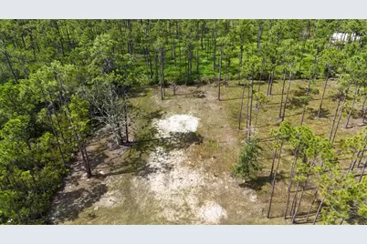 Lot 6 Foxmire Farm Road, Santa Rosa Beach, FL 32459 - Photo 5