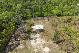 Lot 6 Foxmire Farm Rd, Santa Rosa Beach, FL 32459 - Photo 5