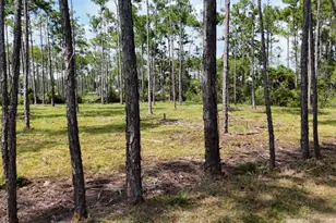 Lot 4 Foxmire Farm Rd, Santa Rosa Beach, FL 32459 - Photo 9