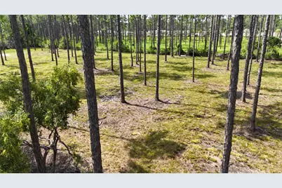 Lot 4 Foxmire Farm Rd, Santa Rosa Beach, FL 32459 - Photo 7
