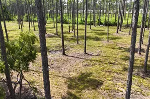 Lot 4 Foxmire Farm Rd, Santa Rosa Beach, FL 32459 - Photo 7