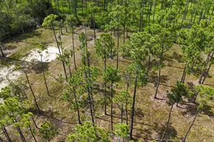 Lot 4 Foxmire Farm Rd, Santa Rosa Beach, FL 32459 - Photo 3