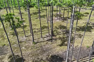 Lot 5 Foxmire Farm Rd, Santa Rosa Beach, FL 32459 - Photo 7