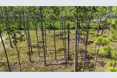 Lot 5 Foxmire Farm Road, Santa Rosa Beach, FL 32459 - Photo 9