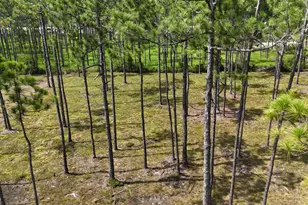 Lot 5 Foxmire Farm Rd, Santa Rosa Beach, FL 32459 - Photo 9