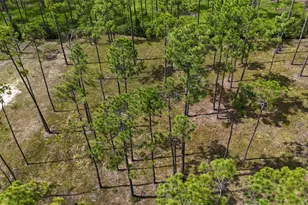 Lot 5 Foxmire Farm Rd, Santa Rosa Beach, FL 32459 - Photo 5