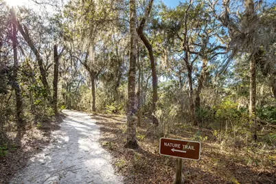 20 Big Oak Lane, Santa Rosa Beach, FL 32459 - Photo 29