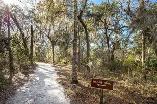 20 Big Oak Ln, Santa Rosa Beach, FL 32459 - Photo 29