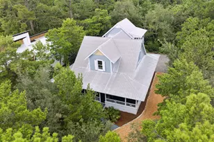 385 Wilderness Way, Santa Rosa Beach, FL 32459 - Photo 45