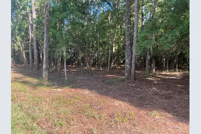Tbd Sparkleberry Lane, Freeport, FL 32439 - Photo 23