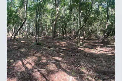 Tbd Sparkleberry Lane, Freeport, FL 32439 - Photo 27