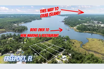 Tbd Sparkleberry Lane, Freeport, FL 32439 - Photo 1