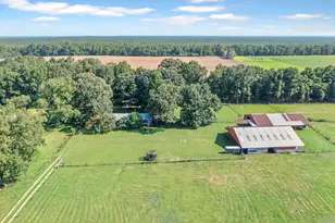 190 Peaden Bridge Rd, Baker, FL 32531 - Photo 55