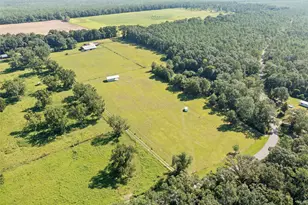 190 Peaden Bridge Rd, Baker, FL 32531 - Photo 65