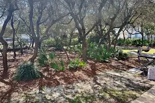 81 S Orange Street S, Inlet Beach, FL 32461 - Photo 15