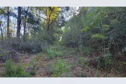 00 NE Second Avenue NE, Crestview, FL 32539 - Photo 9