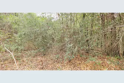 00 NE Second Avenue NE, Crestview, FL 32539 - Photo 7