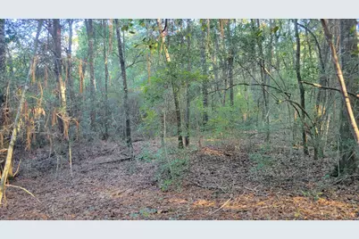 00 NE Second Avenue NE, Crestview, FL 32539 - Photo 11