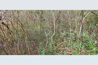 00 NE Second Avenue NE, Crestview, FL 32539 - Photo 13