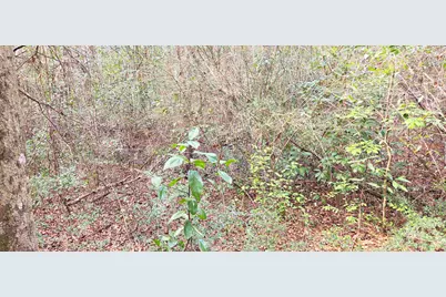 00 NE Second Avenue NE, Crestview, FL 32539 - Photo 11