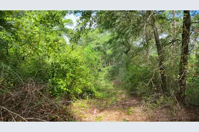 00 NE Second Avenue NE, Crestview, FL 32539 - Photo 5