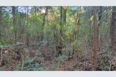 00 NE Second Avenue NE, Crestview, FL 32539 - Photo 17