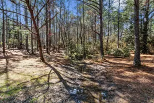 1471 Hwy C 180, Baker, FL 32531 - Photo 67