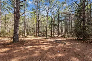 1471 Hwy C 180, Baker, FL 32531 - Photo 65