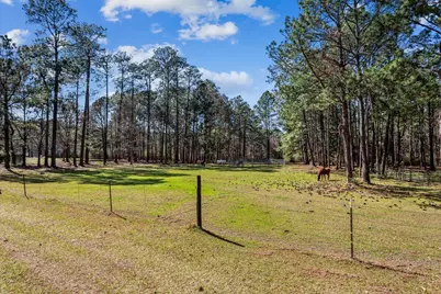 1471 Hwy C 180, Baker, FL 32531 - Photo 13