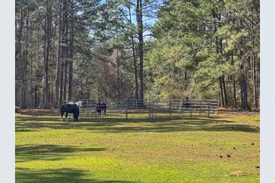 1471 Hwy C 180, Baker, FL 32531 - Photo 69