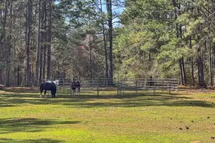 1471 Hwy C 180, Baker, FL 32531 - Photo 69