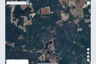 0 River Birch Loop, Westville, FL 32464 - Photo 5