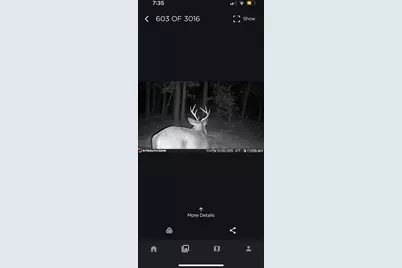 670 Peck Cawthon Road, Defuniak Springs, FL 32435 - Photo 19