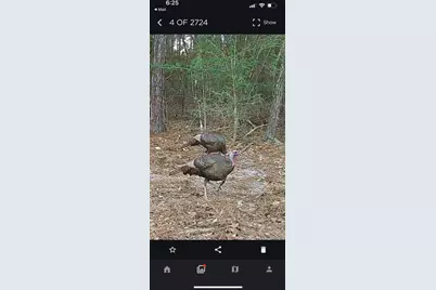 670 Peck Cawthon Road, Defuniak Springs, FL 32435 - Photo 25