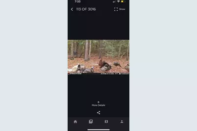 670 Peck Cawthon Road, Defuniak Springs, FL 32435 - Photo 21