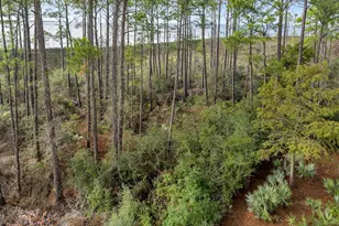 9600 Grand Sandestin Blvd, Miramar Beach, FL 32550 - Photo 33