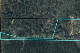 2852 Feral Ln, Caryville, FL 32427 - Photo 43